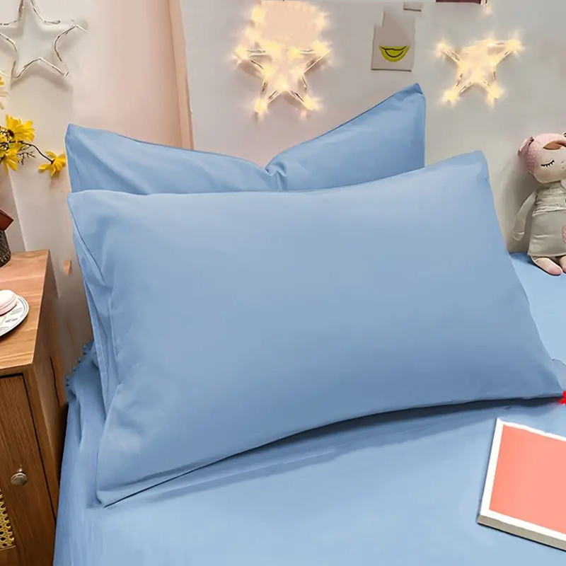 Federa spazzolata da 2 pezzi,  - Pillow Cover 20X20 recensione e prezzo