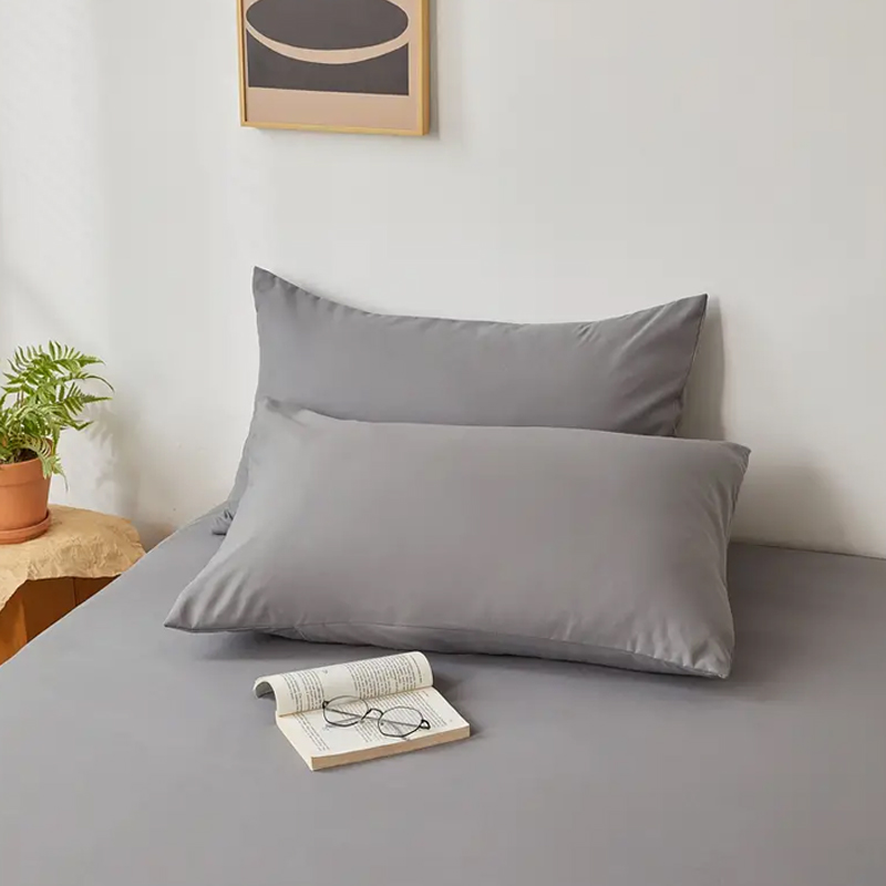 Federa spazzolata da 2 pezzi,  - Pillow Cover 20X20 recensione e prezzo