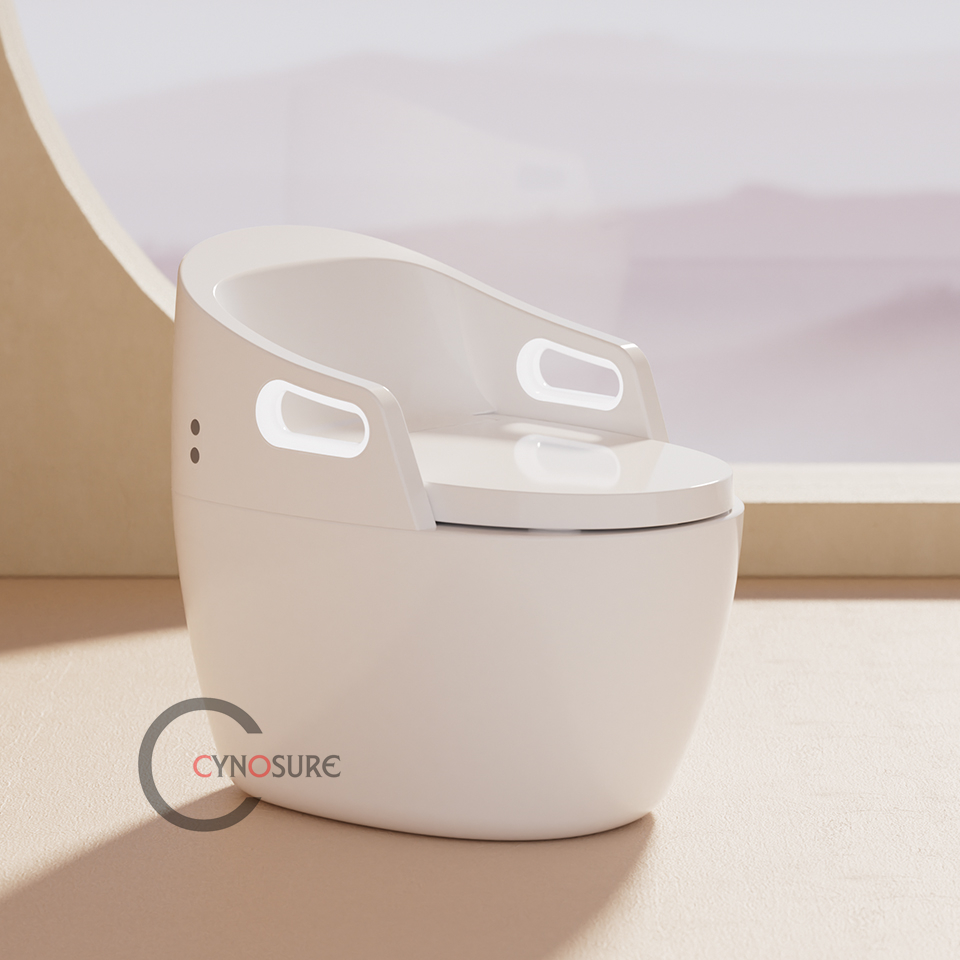 WC Intelligente di Nuovo Desig - P & C Home Textiles Usa recensione e prezzo